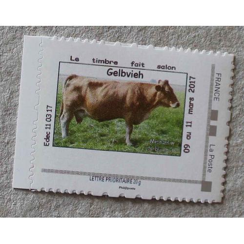 P3-E1 : Vache Gelbvieh